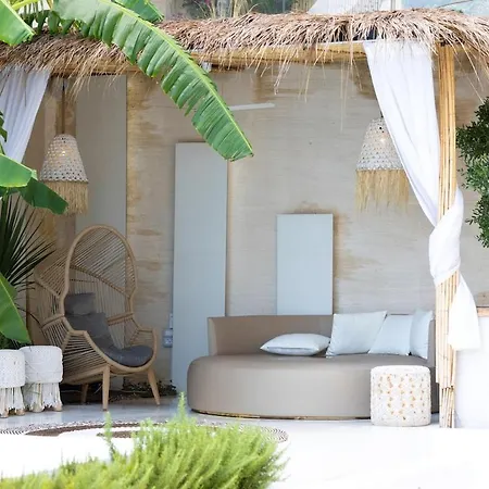Coconut In Coast - *