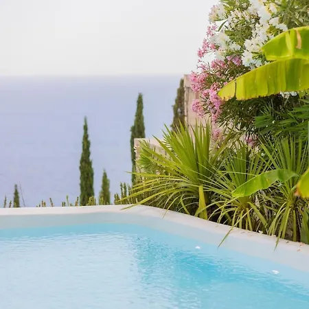 Coconut In Coast - Villa Palasë
