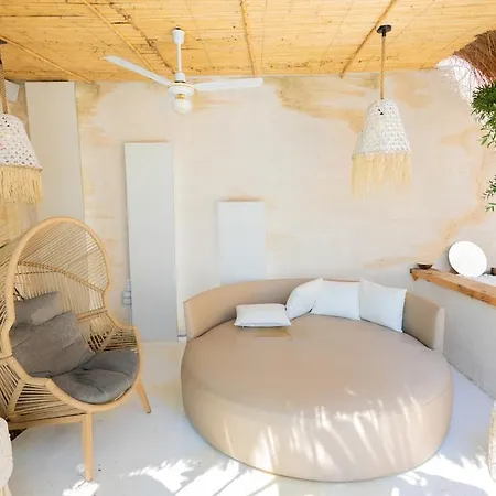 Coconut In Coast - Palasë