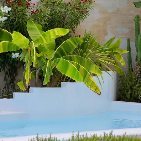 Coconut In Coast - Villa *